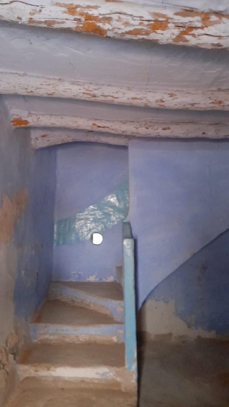 WhatsApp Image 2026-04-28 at 11.08.377