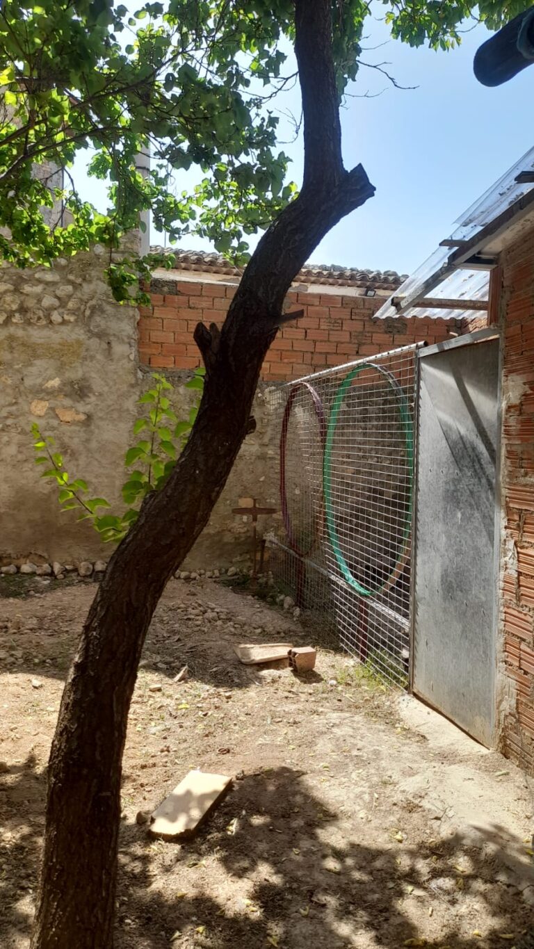 WhatsApp Image 2026-04-28 at 11.087.38