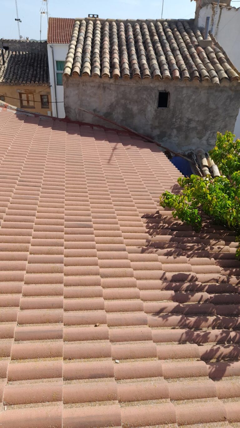 WhatsApp Image 2026-04-28 at 11.088.37